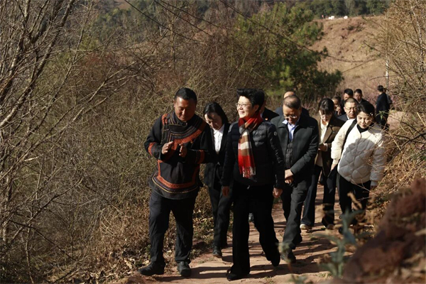 1772420061696351.jpg 4.jpg