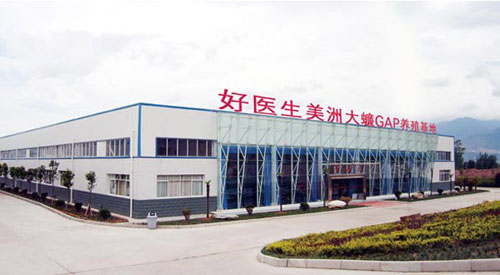 好醫(yī)生美洲大蠊基地